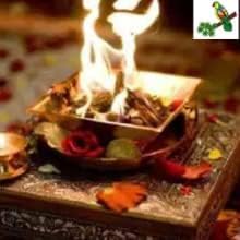 Tota Herbal Havan Samagri 400gm Jar for Pooja