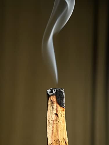 Shamans Market Palo Santo Incense Sticks - 2 oz Bag - Natural Purifying