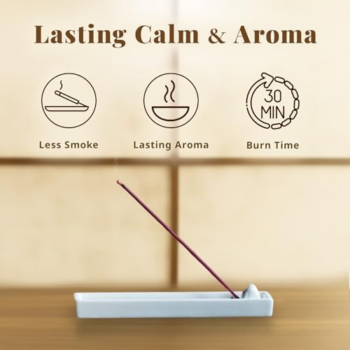 Hasegawa Eternal Now Incense Sticks - 100g Pack