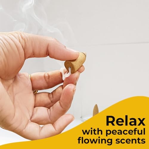ARO VATIKA Backflow Natural Masala Incense Cones 12 Variety Pack