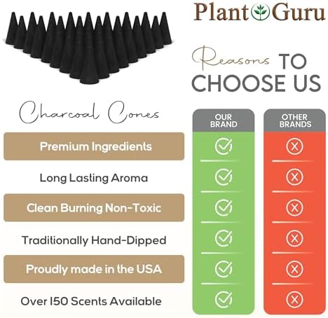 Dragons Blood Charcoal Incense Cones 1 Handmade