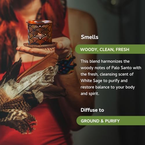 Palo Santo and White Sage Smokeless Incense Bricks Set