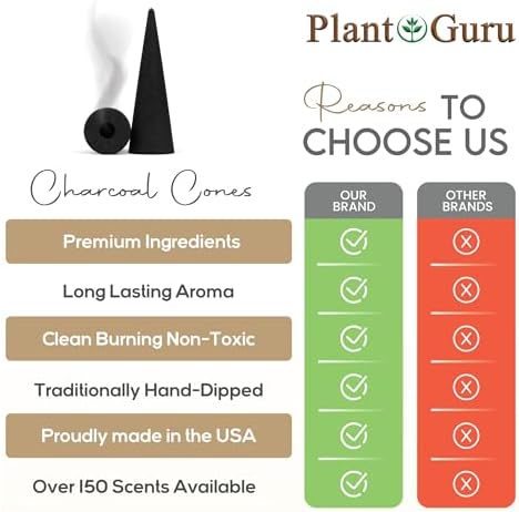Nag Champa Charcoal Incense Cones 2 60 Pack Bulk
