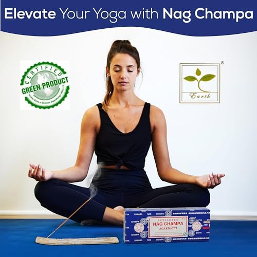 Raajsee Incense Holder Bundle with Nagchampa Incense Sticks