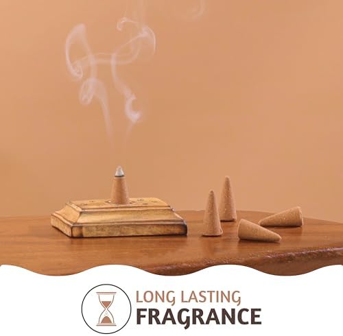 Folkulture Incense Cones Set of 30 - White Sage Palo Santo Natural Fragrances