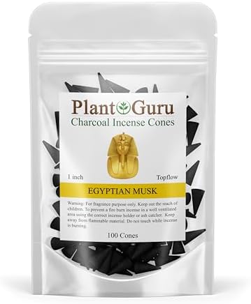 Egyptian Musk Charcoal Incense Cones 100 Pack