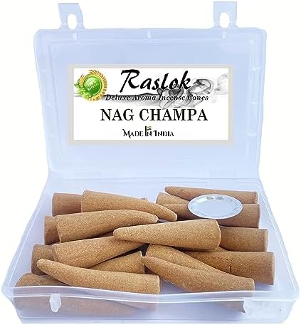Raslok Natural Incense Cones Pack of 20 Nag Champa