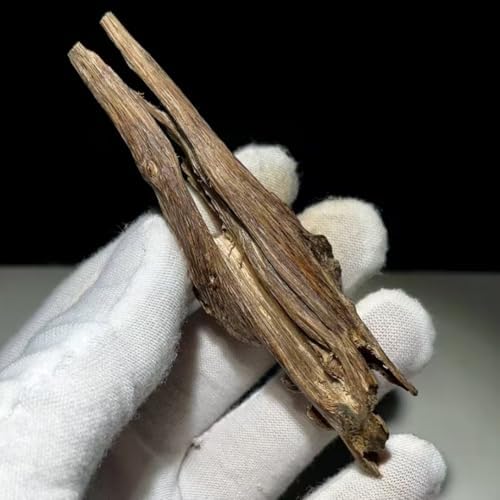 Natural Agarwood Coil Incense with 10 Packets in a Small Jar