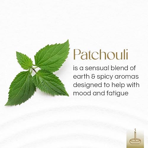 Gonesh Extra Rich Scented Incense Sticks - Patchouli 10 Inch 4 Packs