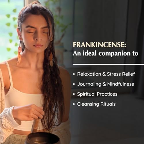 Aromafume Frankincense Incense Bricks 3 Trays x 9 Pieces Refill Pack