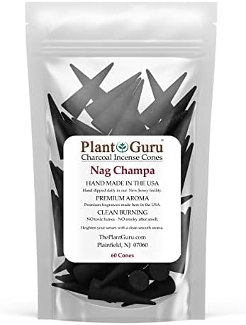 Nag Champa Charcoal Incense Cones 2 - 60 Pack Natural Scented