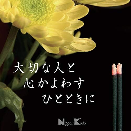Nippon Kodo Eiju Meiko Incense Cinnamon Amber