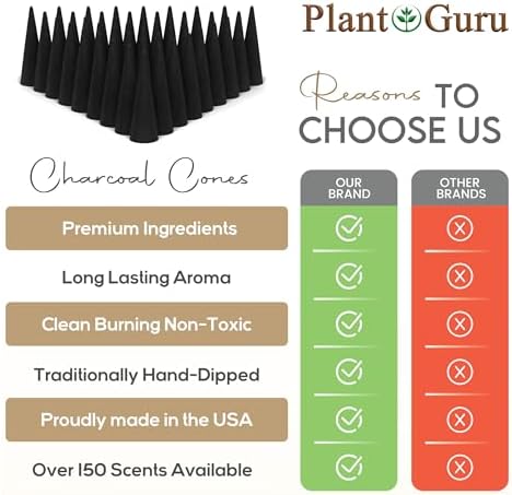 Dragons Blood Charcoal Incense Cones 2 Topflow 60 Pack
