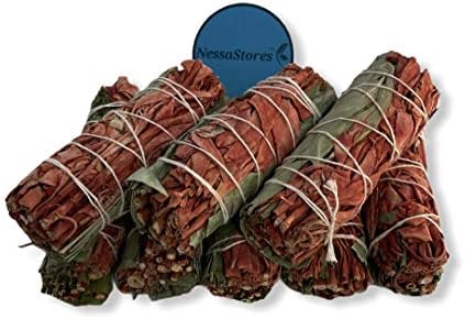 White Sage Dragon Blood Eucalyptus Smudge Incense Bundle 4 JC-187 1 pcs
