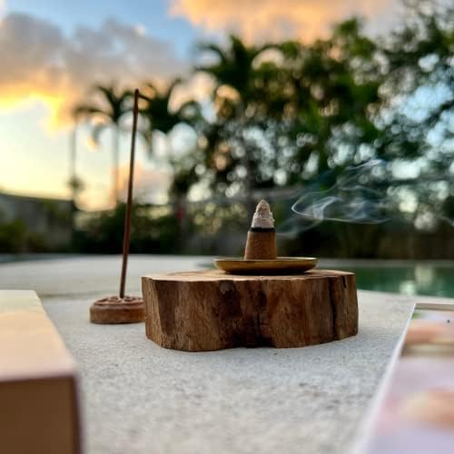 Palo Santo Incense Cones 100 Natural Sustainably Harvested in Peru 24-Pack