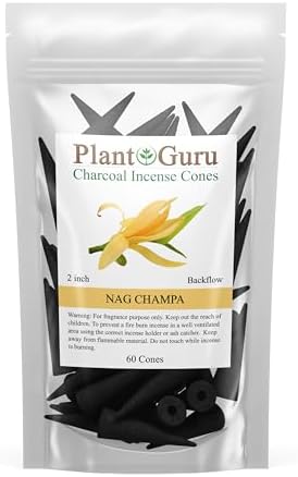 Nag Champa Charcoal Incense Cones 2 60 Pack Bulk