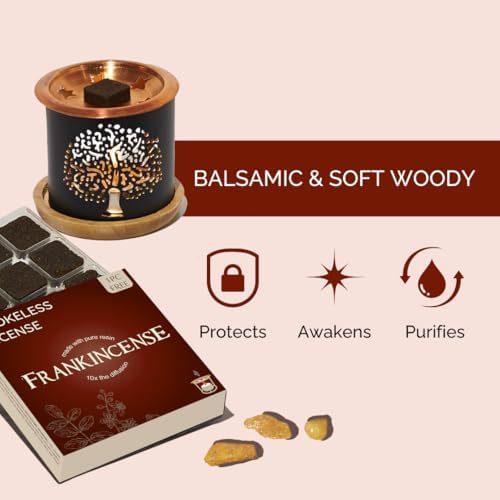 Aromafume Frankincense Incense Bricks Tree of Life Burner