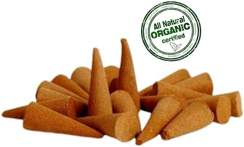 Raslok Natural Incense Cones Pack of 20 Nag Champa
