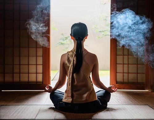 Bireikou Incense Sticks Set 120 Sticks Sandalwood Agarwood Scent
