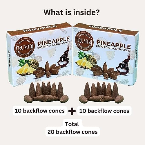 TRUMIRI Pineapple Backflow Incense Cones - 20 Pack Dual Set