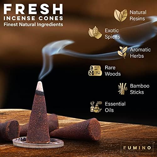 Fumino Tropical Rainforest Incense Cones 20 per Box