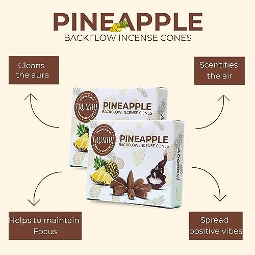 TRUMIRI Pineapple Backflow Incense Cones - 20 Pack Dual Set