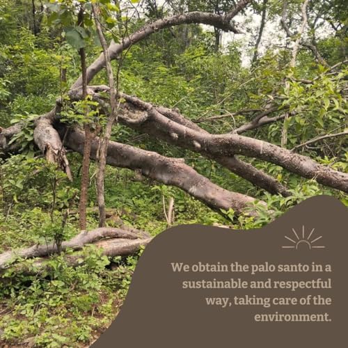 Oxhala Palo Santo Sticks Pack of 10 Handcrafted in Peru