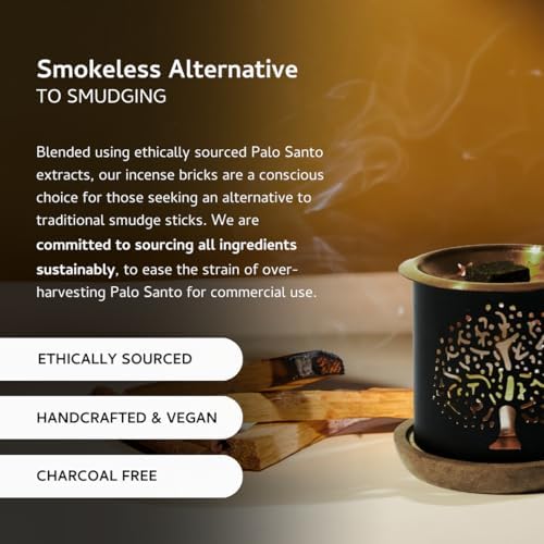 Palo Santo Cinnamon Smokeless Incense Bricks with Rainbow Burner