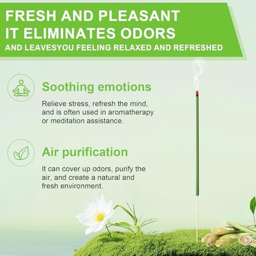 240 Pcs Citronella Incense Sticks Outdoor Protection