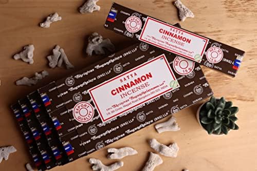 EARTH Satya Cinnamon Incense Sticks Pack of 12
