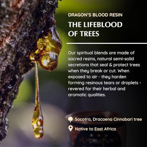 Aromafume Dragons Blood Incense Bricks 3 Trays x 9 Pieces Each Refill Pack