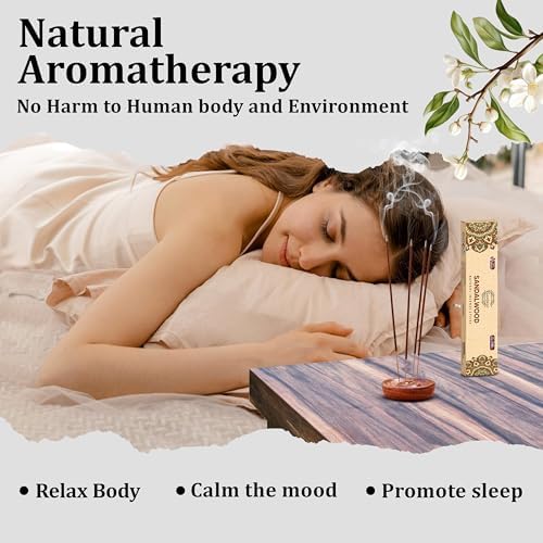 Raajsee Sandalwood Incense Sticks Pack of 12 180 gm