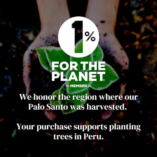Palo Santo Incense Cones 100 Natural Sustainably Harvested in Peru 24-Pack