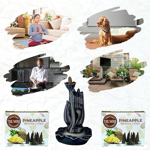 TRUMIRI Pineapple Backflow Incense Cones - 20 Pack Dual Set