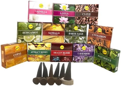 Govinda Sreevani Natural Masala Incense Cones and Holder Bundle
