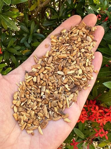 Palo Santo Chips 2-8mm Natural Incense for Cleansing and Blessing