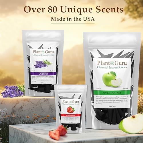 Dragons Blood Charcoal Incense Cones 2 Topflow 60 Pack