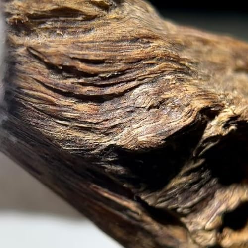 Natural Agarwood Coil Incense with 10 Packets in a Small Jar