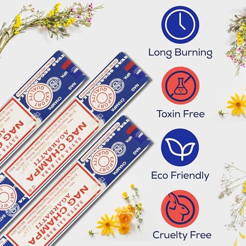 Satya Nag Champa Incense Sticks 45gm Pack with Raajsee Holder
