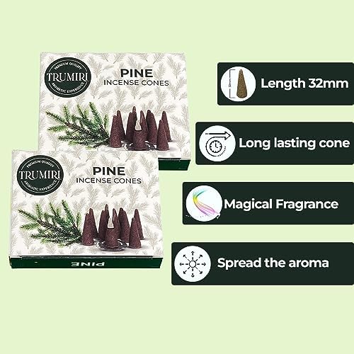 Pine Incense Cones - Dual Pack of 10