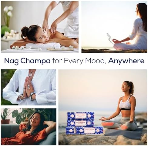 Satya Nagchampa Incense Sticks 4 Pack 400 GMS with Holder