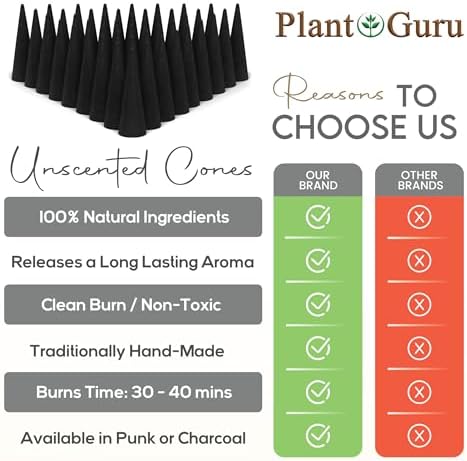 60 Natural Charcoal Incense Cones for DIY Aromatherapy