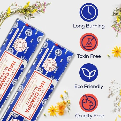 Satya Nag Champa Incense Sticks 2 Pack 200 GMS with Raajsee Holder