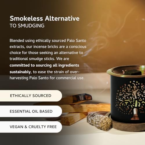 Palo Santo and White Sage Smokeless Incense Bricks Set