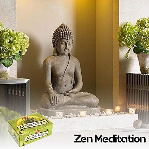 HEM Aloe Vera Incense Case of 12 Boxes
