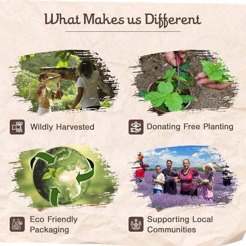 8pcs Wildly Harvested Thick Palo Santo Incense Sticks with Myrrh 9 Long - Eco Friendly Non-Toxic