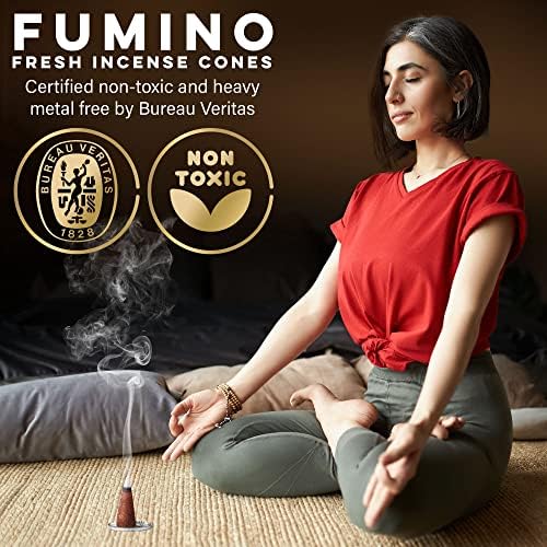 Fumino Tropical Rainforest Incense Cones 20 per Box