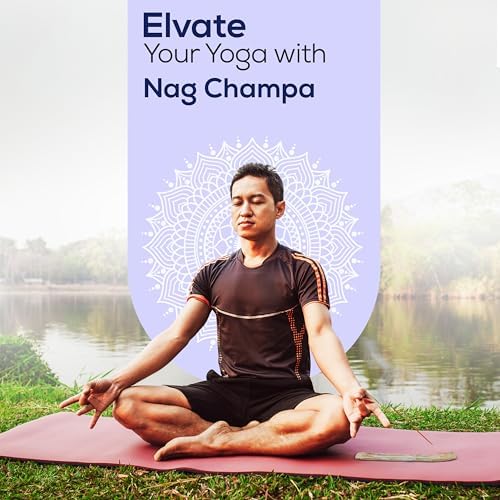 Satya Nag Champa Incense Sticks 2 Pack 200 GMS with Raajsee Holder