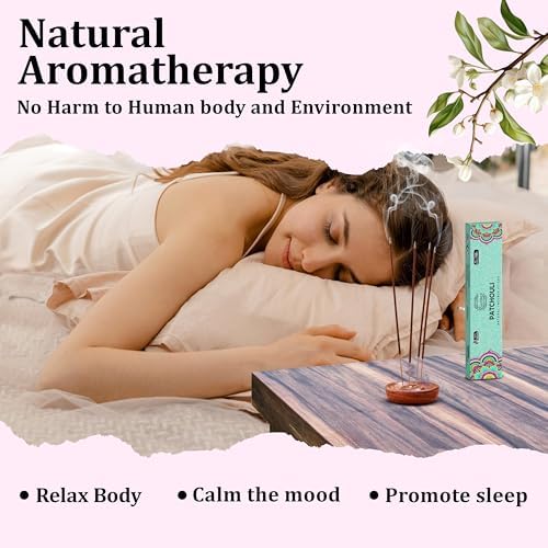 Raajsee Patchouli Incense Sticks 100 Natural Pack of 12