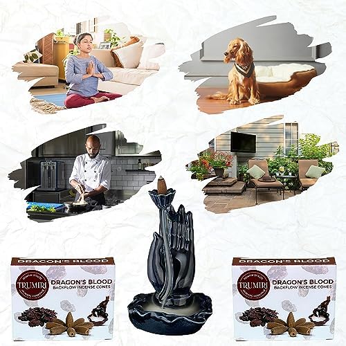 Dragons Blood Backflow Incense Cones Dual Pack